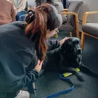 Young woman petting black Labrador dog
