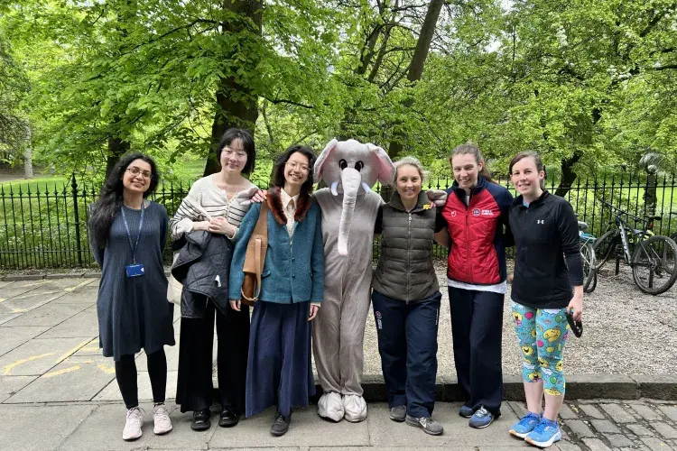 Person dressed in elephant costume standing with group of students