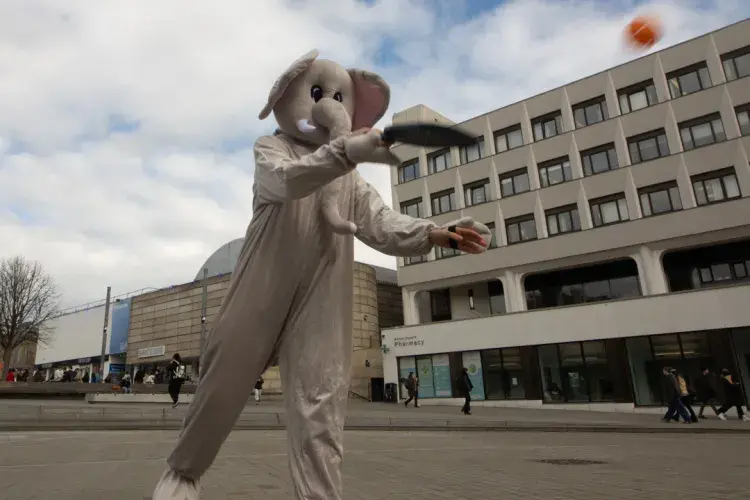 Person dressed in an elephant costume playing paddleball