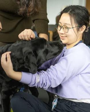 Young woman hugging black Labrador dog