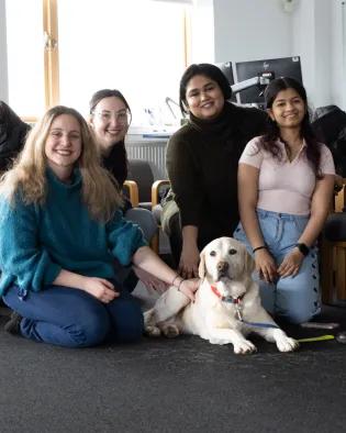 Golden retriever lying down in room surrounded by university students
