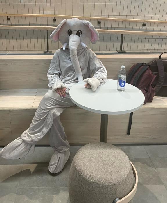 Person dressed in an elephant costume sitting at a table in the university cafe.